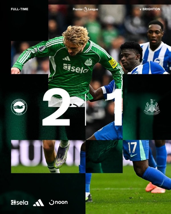 运交华盖…纽卡8轮仅2胜掉至英超14，强援还在伤+死敌高居英超第7